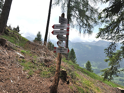 Wir folgen weiter dem Weg zum Monte Cornon