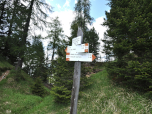 Wir folgen weiter dem Weg 523