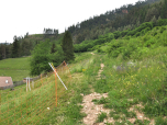 Oberhalb des letzten Hauses von
Tesero führt uns der Weg nach Nordwesten