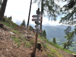 Wir folgen weiter dem Weg zum Monte Cornon