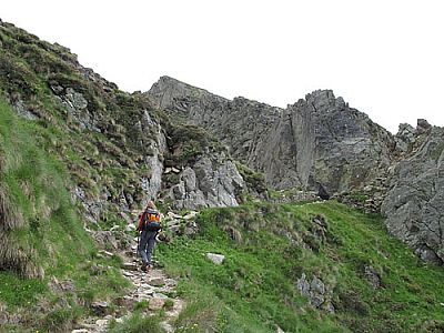 ...die grasige Flanke...