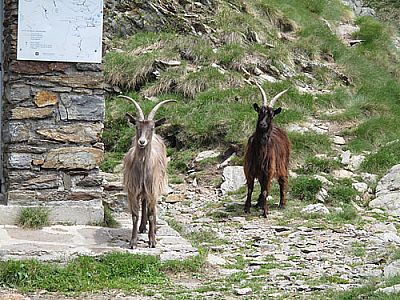 An der Ca' da Legn...