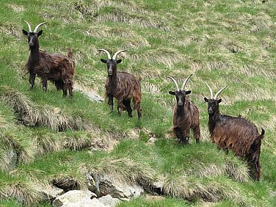 ...sind wir nicht allein