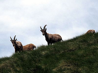 ...und kommen näher