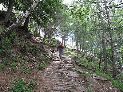 ...mäßig steil bergauf