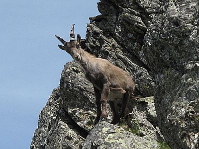 Skeptisch werden wir beäugt