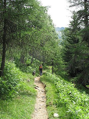 Immer entlang des abwechslungsreichen Pfads