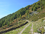 Der Karrenweg führt uns nun steiler bergauf