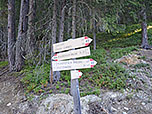 ...in Richtung Pichlerbergalm