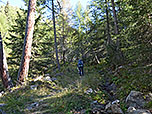 Der Waldpfad leitet uns empor...