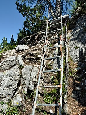 Eine Leiter hilft und über eine Felsstufe hinweg