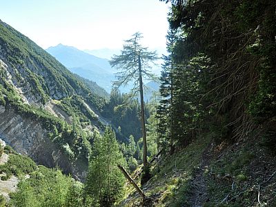 Doch auch hier gibt es...