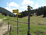 Bei der Jägerhütte biegen wir zum Ochsenälpeleskopf ab