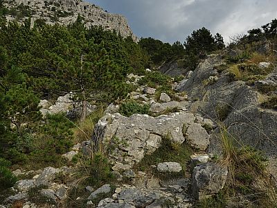Der Weg wird steiniger