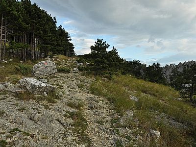 Dank guter Markierungen
kommen wir...