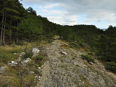 ... auf dem felsigen Pfad gut voran.