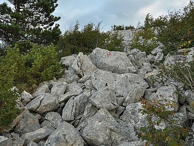 Es geht weiter durch Buschwerk und über Felsen 