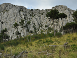 ... unterhalb der Felsen ...