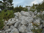 Es geht weiter durch Buschwerk und über Felsen