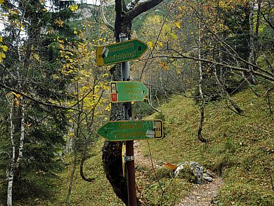 Wir steigen hier nach rechts über die Rinderscharte zum Osterfelderkopf auf