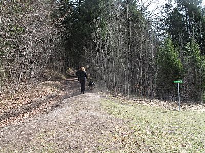 Am Parkplatz geht es links weg...