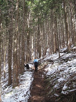 Nach einem letzten Waldgürtel...