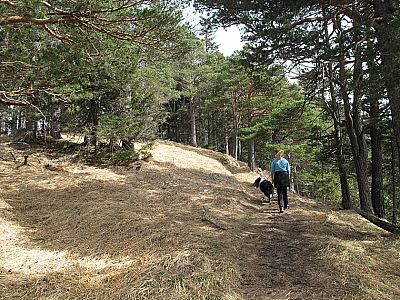 Wir erreichen einen flachen Rücken...