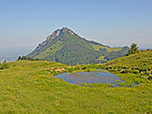 Der kleine Teich, dahinter der Heuberg