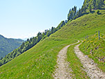 Von der Alm wandern wir über einen Karrenweg leicht bergauf