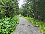 Wir tauchen wieder in den Wald ein...