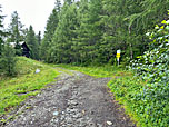 Oberhalb der Lanser Alm...