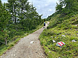 ...folgen wir dem Zirbenweg nach Osten
