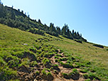 Der Wiesenweg wird steiler