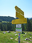 ...und biegen dort links Richtung Heutal ab