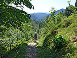 ...und durch Wald...