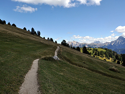 Wir verlassen den breiten Fahrweg nach links und steigen zum Gömajoch auf