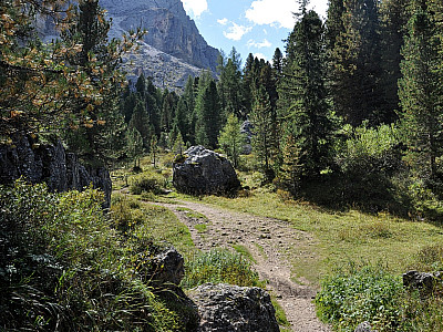 Ein kleines Waldstück...