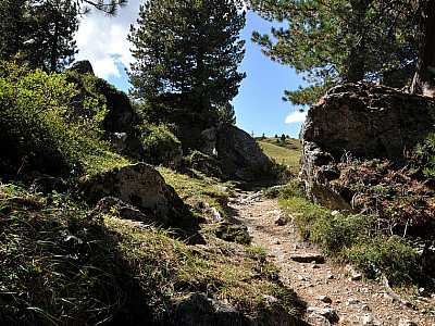 ... hat seinen ganz besonderen Reiz.