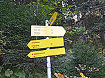 ...und biegen links in den Steig zum Pendling ein