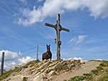 Das Gipfelkreuz am Penkkopf