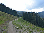 Von der Alm wandern wir über einen breiten Karrenweg...