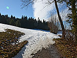 Wir nähern uns dem nächsten Waldstück...