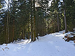 ...und treffen später auf die Anstiegsalternative von Scheidegg