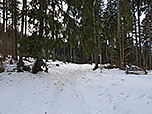...zum Waldrand