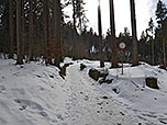 ...und wandern über einen Forstweg bergauf