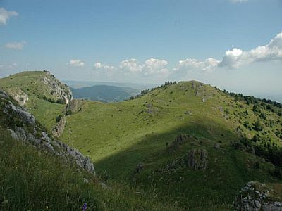 zurück zum Wegweiser