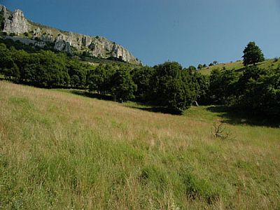 ...auf den Sattel zu