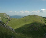 zurück zum Wegweiser