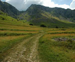 Blick zurück