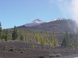 Der Pico del Teide von der Nordseite...